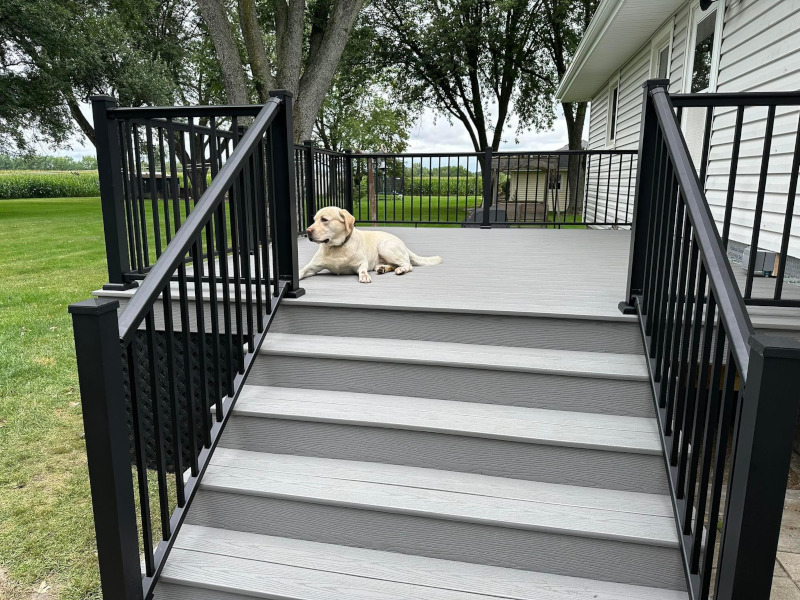 dog laying on deck